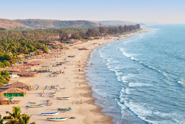 GOA