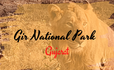 Gir National Park
