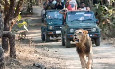 Gujarat
