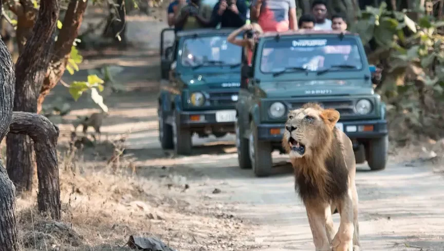 Gujarat