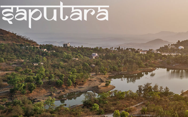 SAPUTARA